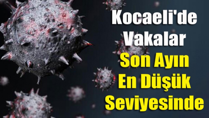 Türkiye'de koronavirüs ile mücadelede azalan vaka sayıları Kocaeli'ye de yansıdı.