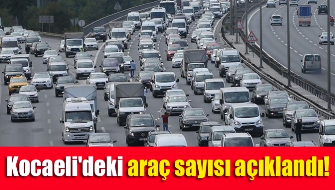 Kocaeli Bölge Müdürlüğünce açıklanan verilere göre; Ocak 2021 sonu itibarı
