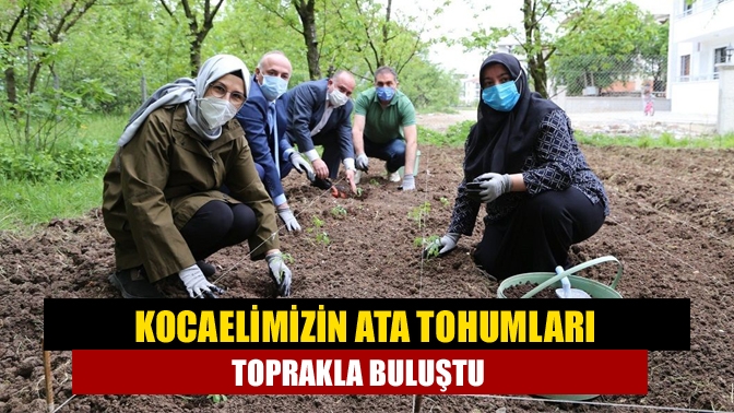 İlimiz çiftçilerden toplanan Ata tohumlarını Milletvekili Radiye Sezer Katırcıoğlu toprakla