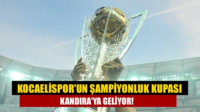 14 yıl aradan sonra TFF 1. Lig’e yükselen temsilcimiz Kocaelispor’un