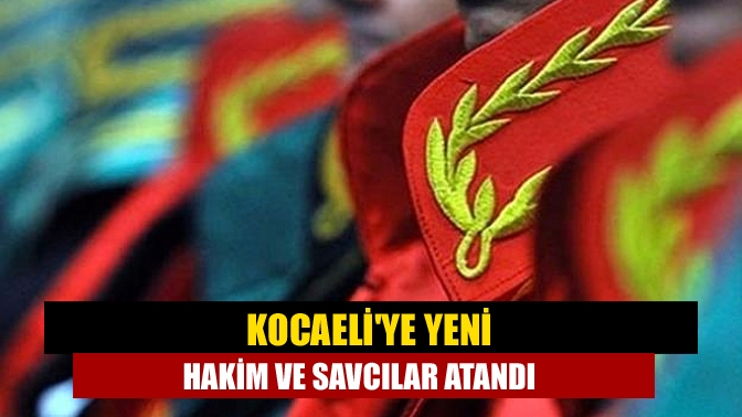 Hakimler ve Savcılar Kurulunca yapılan, 1008 adli yargı hakim ve