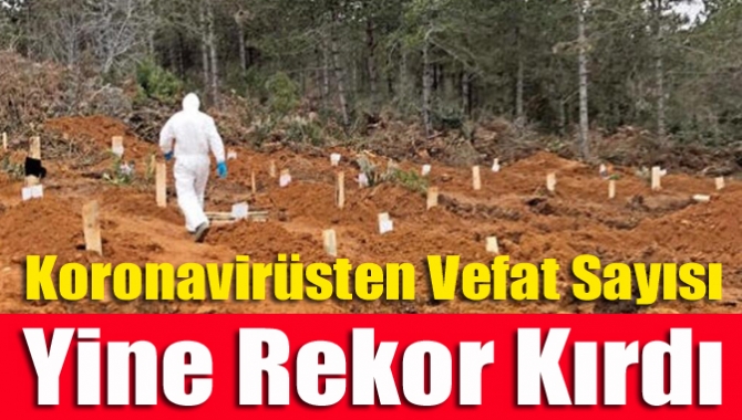 Türkiye'de koronavirüs nedeniyle hayatını kaybedenlerin sayısı 15 bin 531'e, toplam