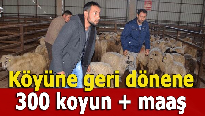 Köyden kente göçü önlemek için yürürlüğe konulan teşviklere bir yenisini
