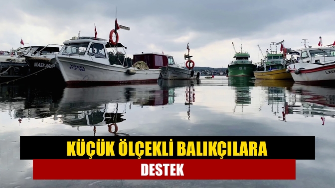 Hazine ve Maliye Bakanı Nureddin Nebati, geleneksel kıyı balıkçılığı yapan