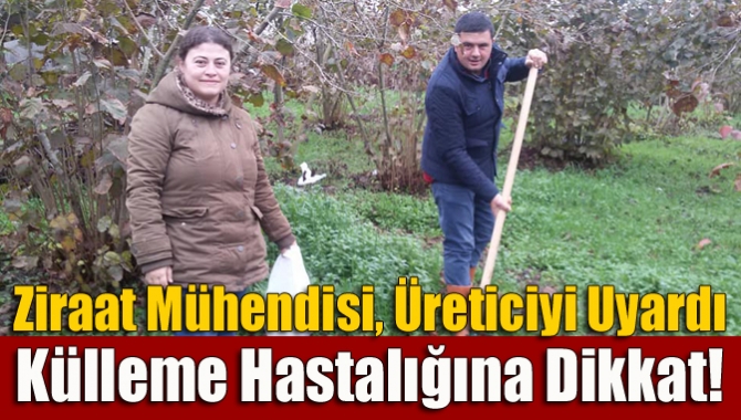 Kandıra Ziraat Odası’nda görevli Ziraat Mühendisi Evrim Taylan, fındık ağaçlarında