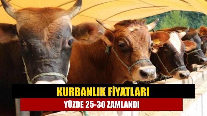 Türkiye Kasaplar, Besiciler, Et ve Et Ürünleri Esnaf ve Sanatkarları
