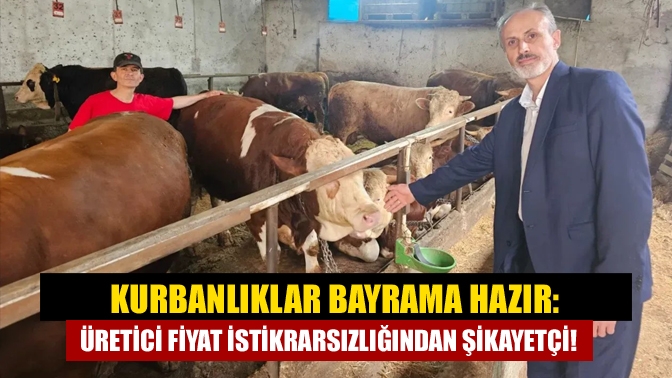 Kandıra'nın kurbanlık hayvan üreticileri, bayrama hazır. Kurbanlıkların bir kısmını satan