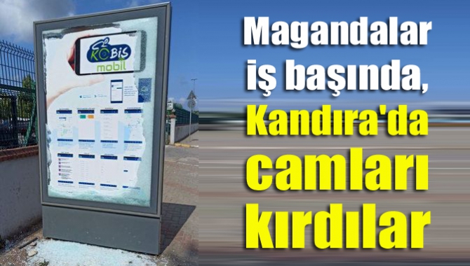 Şehir magandaları zaman ve mekan tanımadan çevreye zarar vermeye devam