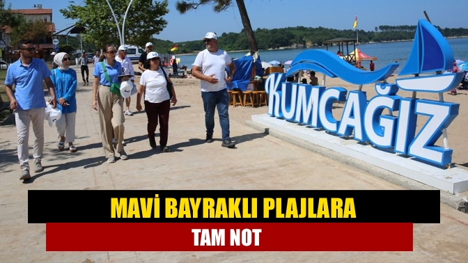 Kocaeli'nin mavi bayraklı 9 plajı, Mavi Bayrak Programı Ulusal Koordinatörlüğü