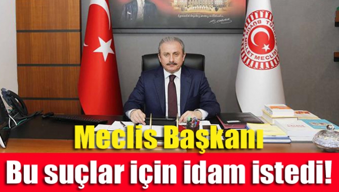 TBMM Başkanı, "Taammüden adam öldürme suçları, küçüklere, kadınlara karşı işlenen