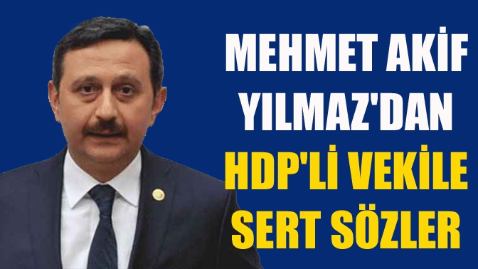 TBMM'ye sözde Ermeni Soykırımının tanınması yönünde teklifte bulunan HDP'li vekil