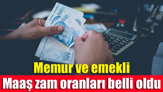 Aralık ayı ve yıllık enflasyon rakamları TÜİK tarafından açıklandı. Aralık