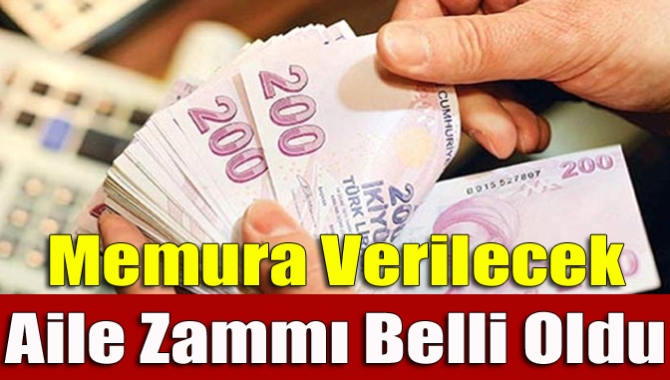Milyonlarca memurun 2018-2019 yıllarındaki zam oranı belirlenirken, aile yardımları da