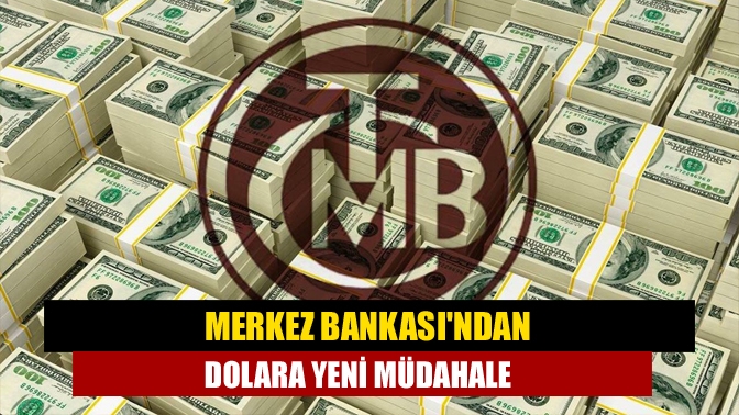 Merkez Bankası'nın döviz kuruna üçüncü müdahalesinin ardından 13,75'e kadar gerileyen