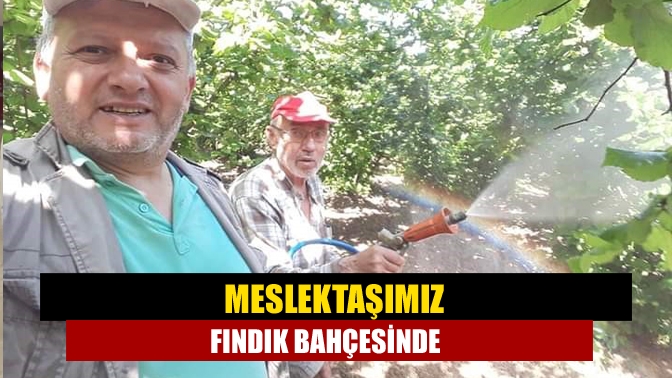 İhlas Haber Ajansı Kocaeli eski Temsilcisi Asım Yağız, Taşambar Mahallesi'ndeki