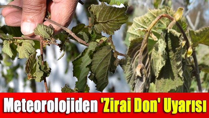İç Ege, Göller Yöresi ve İç Anadolu Bölgesi ile Batı