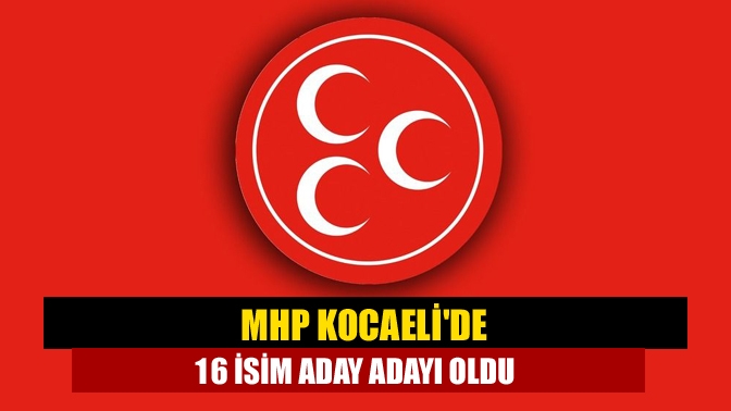 Genel seçimler öncesi MHP’de 14 Mart’ta başlayan milletvekilliği aday adaylığı