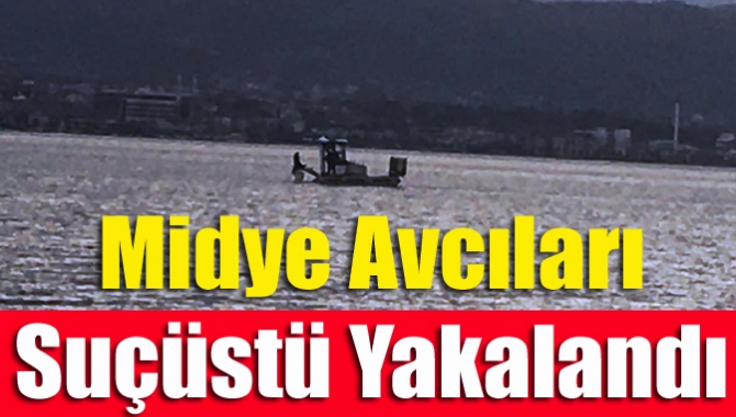 Kocaeli İl Emniyet Müdürlüğüne bağlı ekipler, İzmit İlçesi Kuş Cenneti