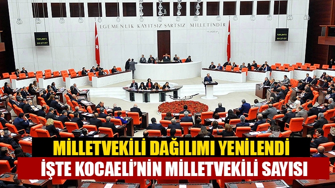 Yüksek Seçim Kurulu, Resmi Gazete’de yayımlanan karar ile bazı illerin