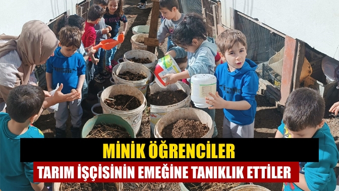 Kandıra Zafer İlkokulu anasınıfı öğrencileri tarımsal faaliyetlere tanıklık ederek üretimdeki