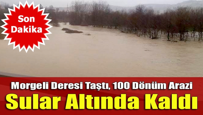 Kandıra’nın Beyce Mahallesi Ören mevkiinde bulunan Morgeli Deresi, sağanak yağışın