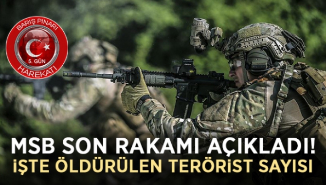 Başarıyla devam eden Barış Pınarı Harekâtı’nda etkisiz hale getirilen toplam