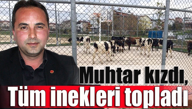 Cebeci Mahalle Muhtarı Gürkan Durmuş, etrafta başıboş gezen ve çevreye