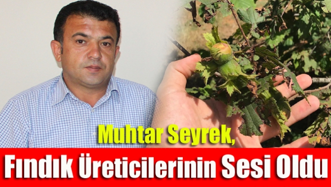 Kandıra Bollu Mahallesi Muhtarı Hüseyin Seyrek, fındık üreticisinin mağduriyetinin giderilmesi