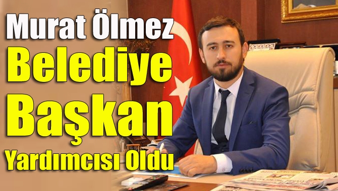 AK Parti Kandıra Gençlik Kolları Başkanı, Kandıra ve Büyükşehir belediye