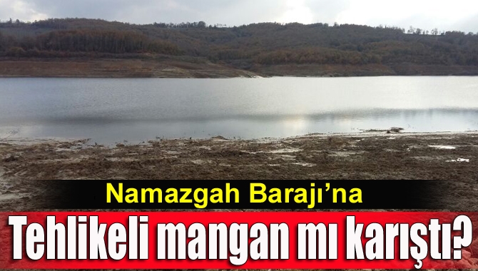 Kandıra Namazgah Barajı suyuna, zemininden sağlığa zarar verecek şekilde aşırı