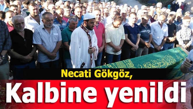 Kandıra Merkez Erikli Belenköy sakinlerinden Necati Gökgöz (87), kalbine yenik