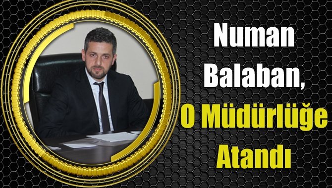 Kocaeli Büyükşehir Belediyesi Kandıra Koordinatörü Numan Balaban, Kırsal Hizmetler Şube