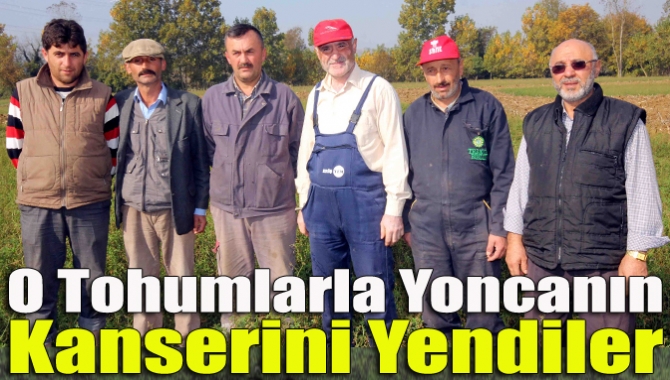 Önceden yoncanın kanseri olarak bilinen ‘küsküt’ sebebi ile verim alamayan
