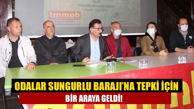 13 Ekim tarihinde gerçekleştirilecek Sungurlu Barajı duruşması öncesi TMMOB İKK