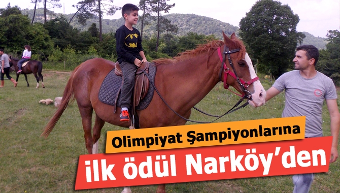 Akçakoca İlkokulu Matematik Olimpiyatları’nda başarılı olan öğrenciler, Nar Eğitim ve