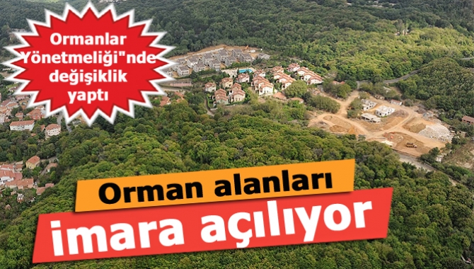 Orman Bakanlığı Resmi Gazete'de yayımlanan karar ile, Ormanlar Yönetmeliği"nde değişiklik