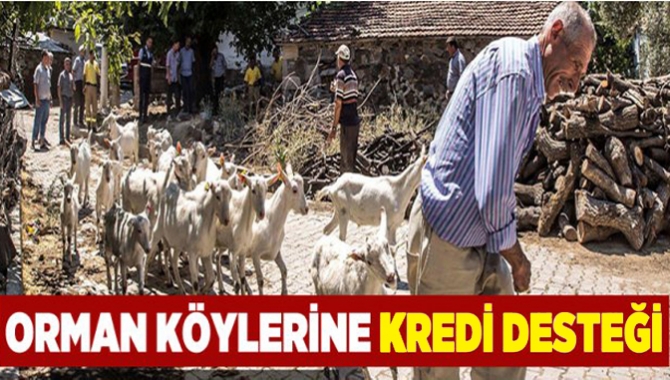 Orman ve Su İşleri Bakanlığı, 2003 yılından bugün kadar Kocaeli'nde