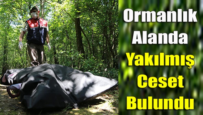 Körfez'de ormanlık alanda 25-30 yaşlarında yakılmış erkek cesedi bulundu