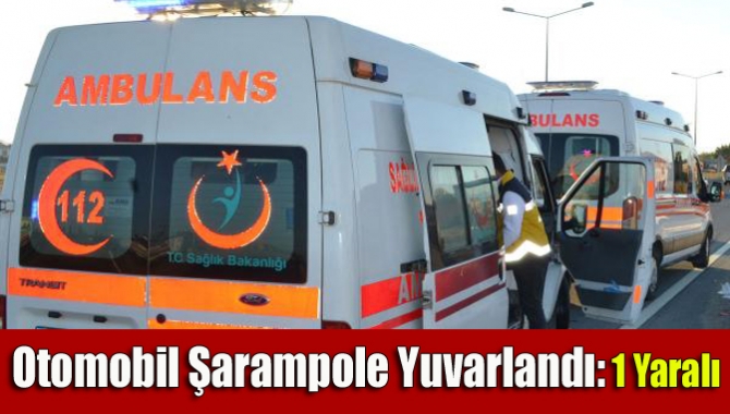 Kaynarca yolunda sürücünün direksiyon hakimiyetini kaybetmesi sonucu kontrolden çıkan otomobil,