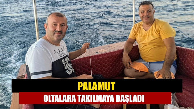 Denizlerde avlanma yasağının bitmesine sayılı günler kala, Kandıra sahillerinde tekneyle