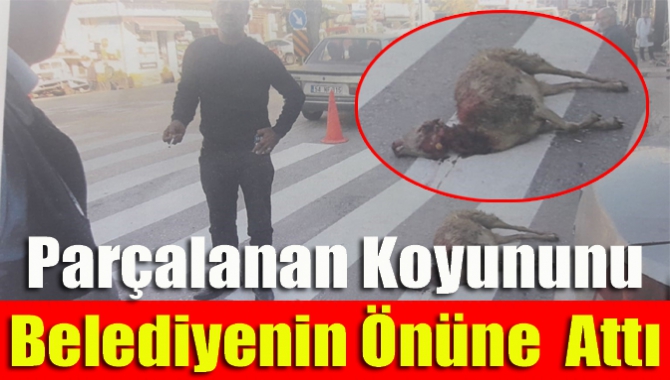 Kandıra Babalı köyü Orman Dibi mevkiinde koyun yetiştiriciliği yapan Hikmet