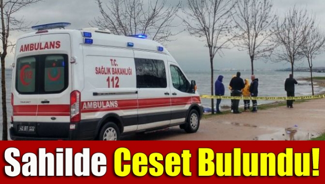 Kocaeli Büyükşehir Belediyesi binasının arkasında bulunan otoparkın sahil kenarında bir