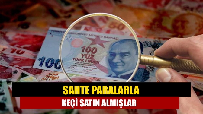 Kocaeli’nin İzmit ilçesinde 11 bin TL sahte parayla 7 keçi