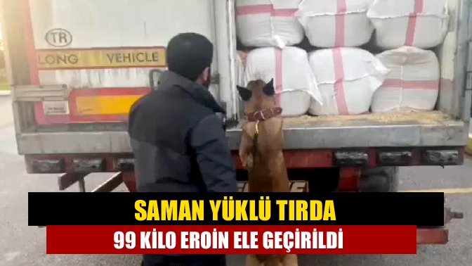 TEM Otoyolu Kocaeli geçişinde durdurulan saman yüklü tırda narkotik köpeği