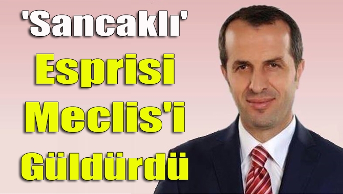 TBMM Başkanvekili Akif Hamzaçebi’nin, MHP’li Saffet Sancaklı’yla ilgili yaptığı espri