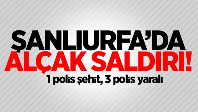 Şanlıurfa'nın Viranşehir'de zırhlı polis aracının geçişi sırasında meydana gelen patlamada