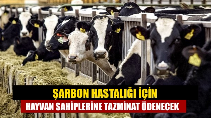 Tarım ve Orman Bakanlığının "Hayvan Hastalıklarında Tazminat Yönetmeliğinde Değişiklik Yapılması