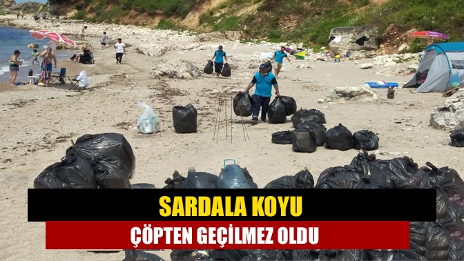 Deniz sezonun açılması ile birlikte sahiller hareketlendi. İnsan hareketlenice ortalık