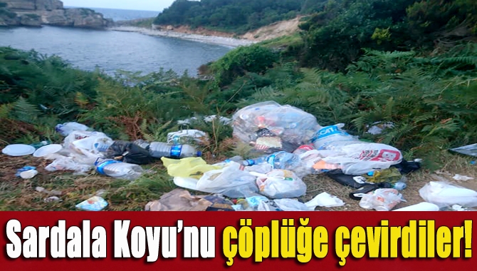 Kandıra’nın bakir kalan koylarından biri olan Sardala Koyu, son zamanlarda