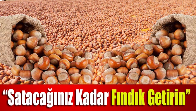 Kandıra Ziraat Odası Başkanı Erdal Çetin, “Fındığınızı ihtiyaçtan fazlasını pazara